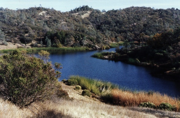 Coit Lake