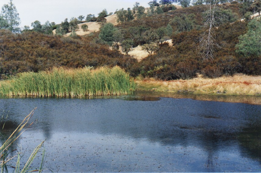 Mississippi Lake